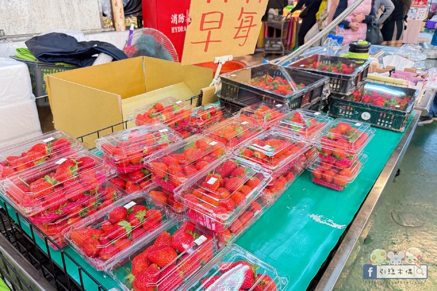 把五星飯店大廚帶回家？《屏東中山尚青黃昏市場》這 4 攤強到長輩主動追加，一不小心竟然讓銀髮選手推了四台車？