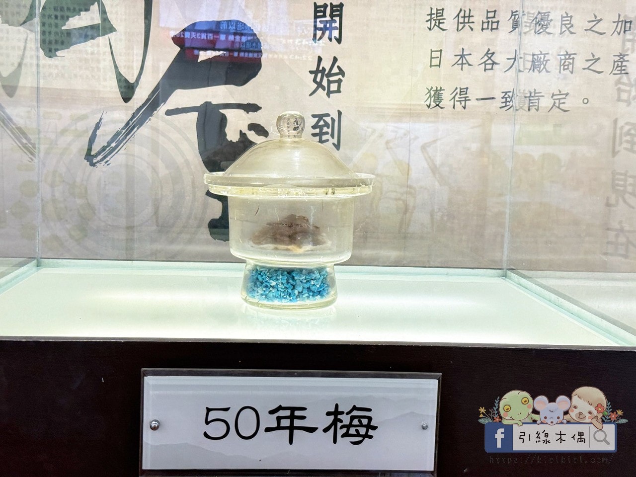 《梅問屋梅子元氣館》免門票還能玩闖關拿禮物?60 年梅子、古井,連梅酒都能自己做。 - 第15張圖 《梅問屋梅子元氣館》免門票還能玩闖關拿禮物?60 年梅子、古井,連梅酒都能自己做。