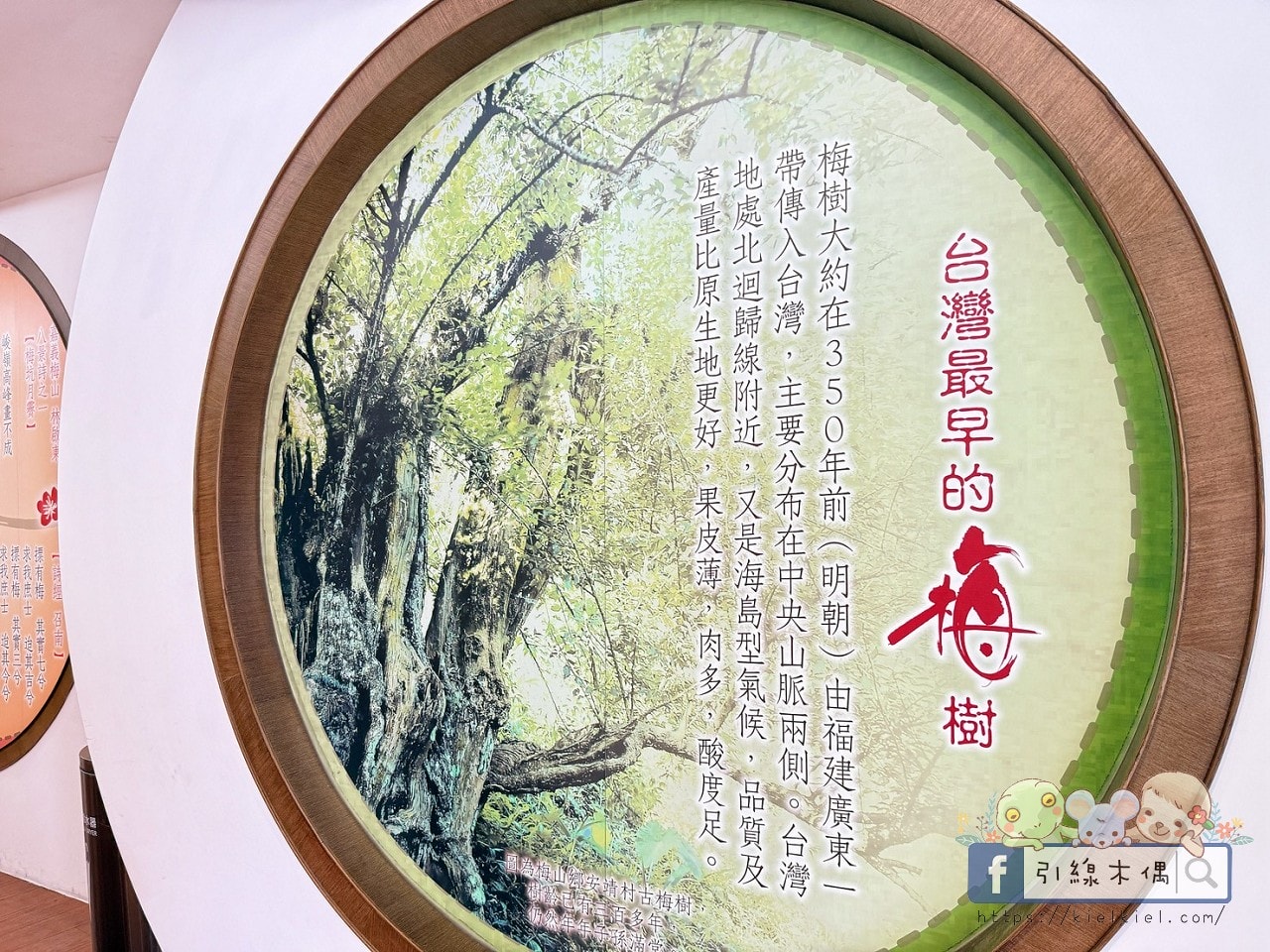 《梅問屋梅子元氣館》免門票還能玩闖關拿禮物?60 年梅子、古井,連梅酒都能自己做。 - 第11張圖 《梅問屋梅子元氣館》免門票還能玩闖關拿禮物?60 年梅子、古井,連梅酒都能自己做。